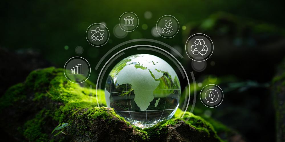 Climate Finance in Transition: Why Developing Countries Are Redesigning Carbon Markets to Attract Investment