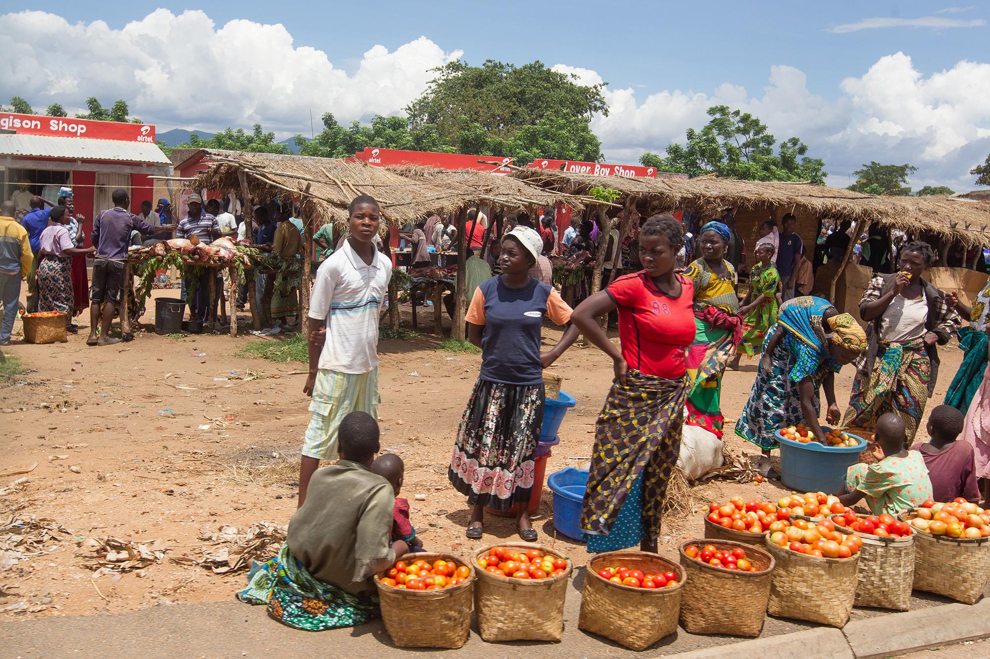 Malawi’s Reform Challenge And The Promise Of Private Investment